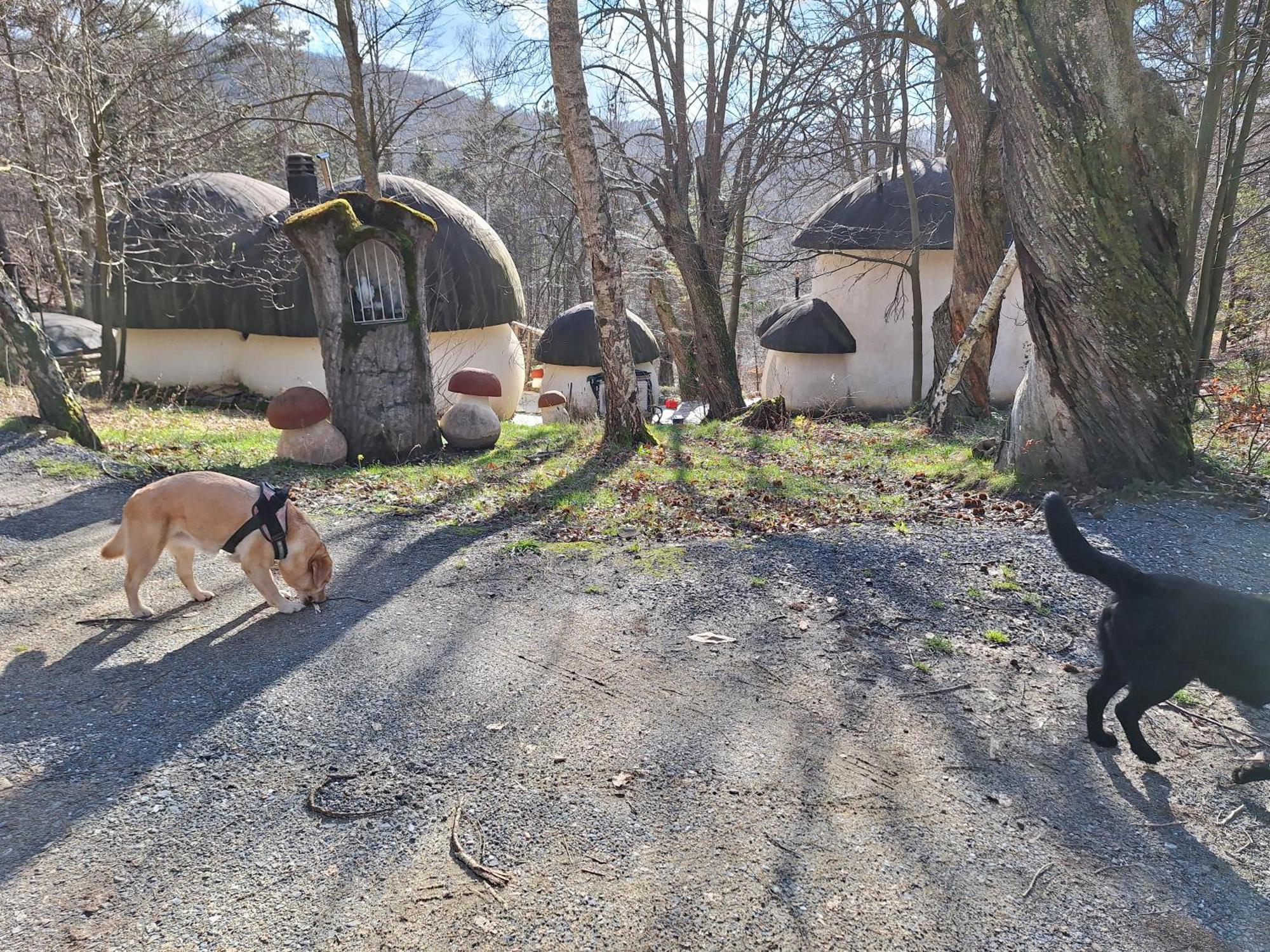 Il Villaggio Dei Puffi Bardineto المظهر الخارجي الصورة